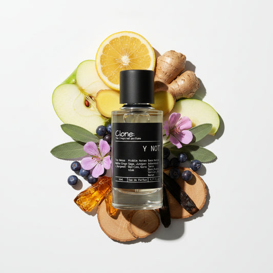 Y Not - Fresh Aromatic EDP inspired by Y | Men