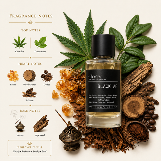 Black AF - Woody Aromatic EDP inspired by Black Afgano | Men