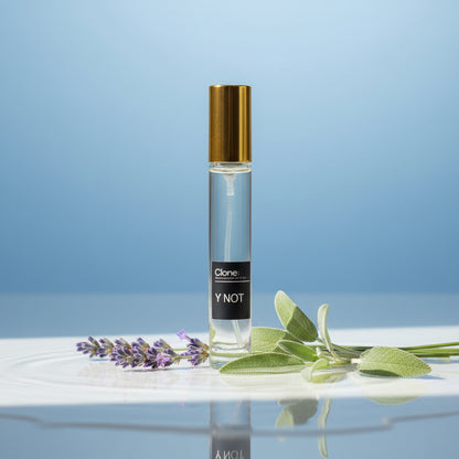 Y Not - Fresh Aromatic EDP inspired by Y | Men